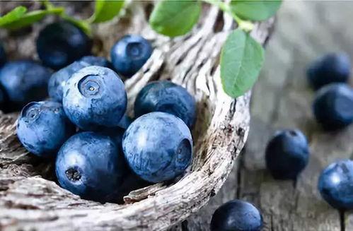 娱乐吃瓜酱母亲吃蓝莓